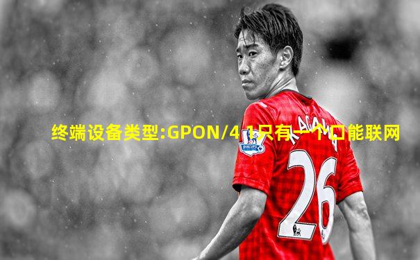 终端设备类型:GPON/4 1只有一个口能联网